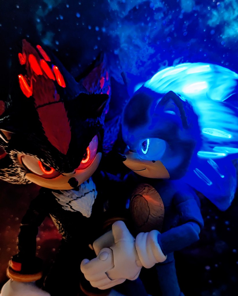 Sonic and Shadow get close in the starry evening [photo by DLP]